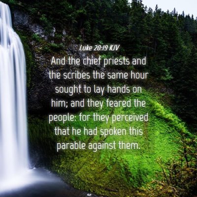 Picture 04 - Luke 20:19 KJV - And the chief priests and the scribes the same - Bible Verse Picture