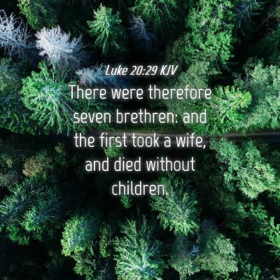 Picture 04 - Luke 20:29 KJV - There were therefore seven brethren: and the - Bible Verse Picture