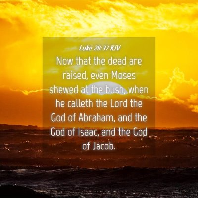 Picture 04 - Luke 20:37 KJV - Now that the dead are raised, even Moses shewed - Bible Verse Picture