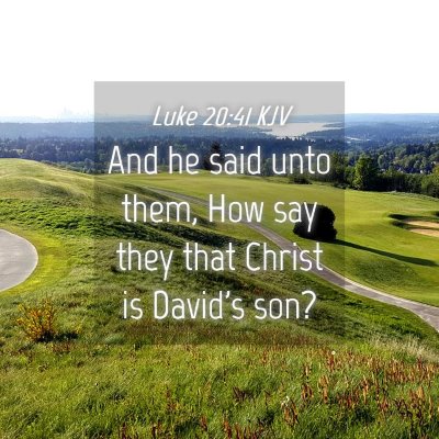 Picture 04 - Luke 20:41 KJV - And he said unto them, How say they that Christ - Bible Verse Picture