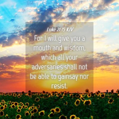 Picture 04 - Luke 21:15 KJV - For I will give you a mouth and wisdom, which all - Bible Verse Picture