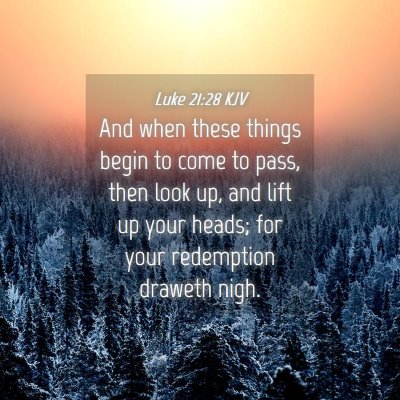 Picture 04 - Luke 21:28 KJV - And when these things begin to come to pass, then - Bible Verse Picture