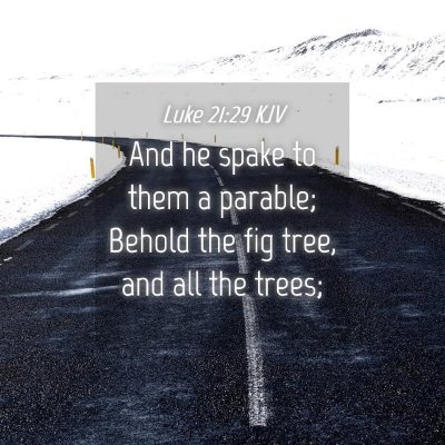 Picture 04 - Luke 21:29 KJV - And he spake to them a parable; Behold the fig - Bible Verse Picture