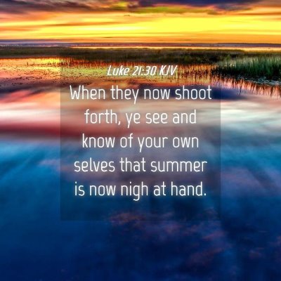 Picture 04 - Luke 21:30 KJV - When they now shoot forth, ye see and know of - Bible Verse Picture