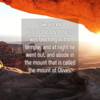 Picture 04 - Luke 21:37 KJV - And in the day time he was teaching in the - Bible Verse Picture