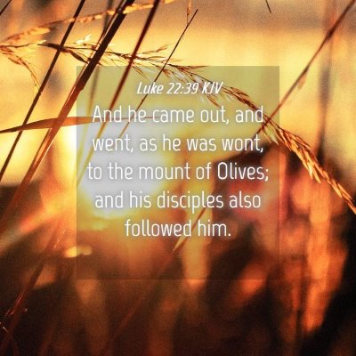 Picture 04 - Luke 22:39 KJV - And he came out, and went, as he was wont, to the - Bible Verse Picture