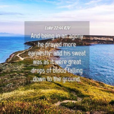 Picture 04 - Luke 22:44 KJV - And being in an agony he prayed more earnestly: - Bible Verse Picture