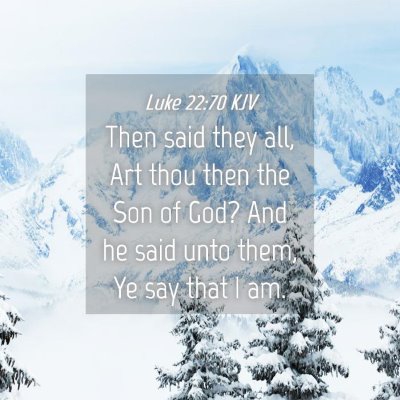 Picture 04 - Luke 22:70 KJV - Then said they all, Art thou then the Son of God? - Bible Verse Picture