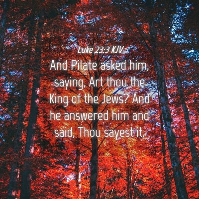 Picture 04 - Luke 23:3 KJV - And Pilate asked him, saying, Art thou the King - Bible Verse Picture