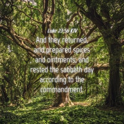 Picture 04 - Luke 23:56 KJV - And they returned, and prepared spices and - Bible Verse Picture
