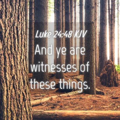 Picture 04 - Luke 24:48 KJV - And ye are witnesses of these - Bible Verse Picture