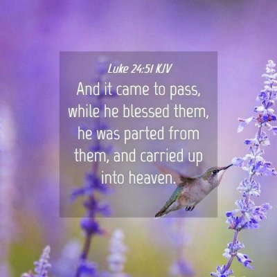 Picture 04 - Luke 24:51 KJV - And it came to pass, while he blessed them, he - Bible Verse Picture