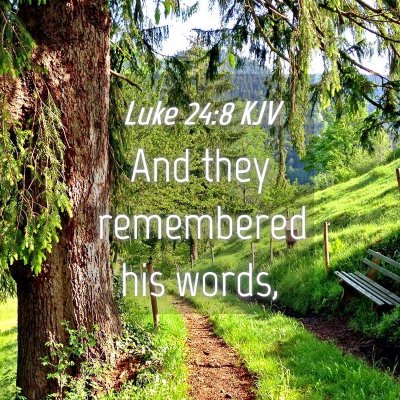 Picture 04 - Luke 24:8 KJV - And they remembered his - Bible Verse Picture