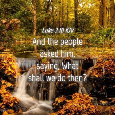 Picture 04 - Luke 3:10 KJV - And the people asked him, saying, What shall we - Bible Verse Picture