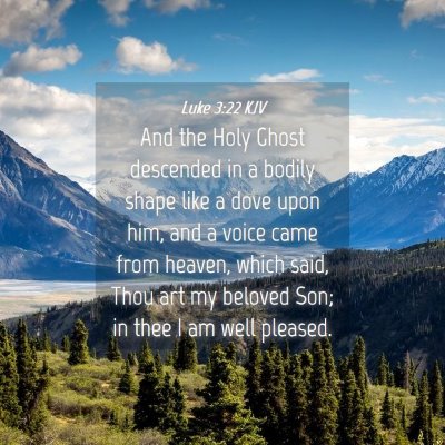 Picture 04 - Luke 3:22 KJV - And the Holy Ghost descended in a bodily shape - Bible Verse Picture