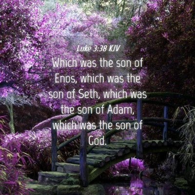 Picture 04 - Luke 3:38 KJV - Which was the son of Enos, which was the son of - Bible Verse Picture