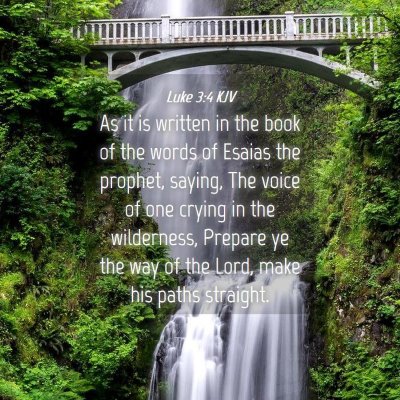 Picture 04 - Luke 3:4 KJV - As it is written in the book of the words of - Bible Verse Picture