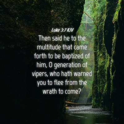 Picture 04 - Luke 3:7 KJV - Then said he to the multitude that came forth to - Bible Verse Picture