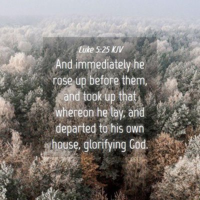 Picture 04 - Luke 5:25 KJV - And immediately he rose up before them, and took - Bible Verse Picture