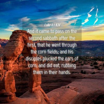 Picture 04 - Luke 6:1 KJV - And it came to pass on the second sabbath after - Bible Verse Picture