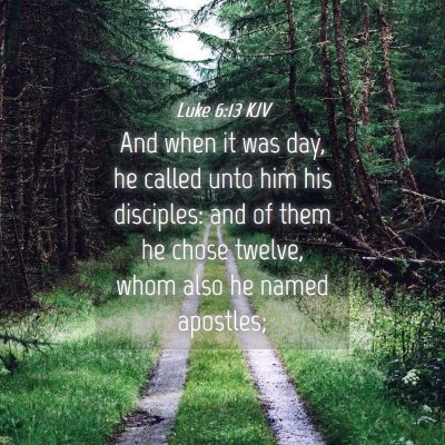 Picture 04 - Luke 6:13 KJV - And when it was day, he called unto him his - Bible Verse Picture