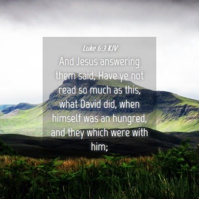 Picture 04 - Luke 6:3 KJV - And Jesus answering them said, Have ye not read - Bible Verse Picture