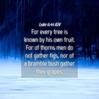 Picture 04 - Luke 6:44 KJV - For every tree is known by his own fruit. For of - Bible Verse Picture