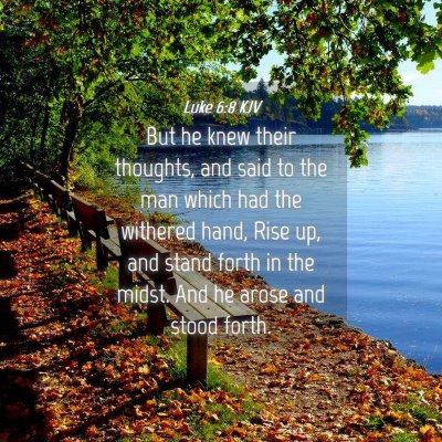 Picture 04 - Luke 6:8 KJV - But he knew their thoughts, and said to the man - Bible Verse Picture