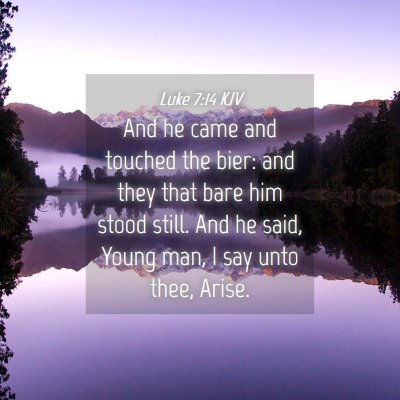 Picture 04 - Luke 7:14 KJV - And he came and touched the bier: and they that - Bible Verse Picture