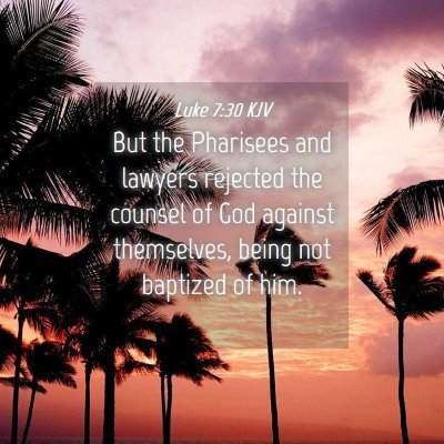 Picture 04 - Luke 7:30 KJV - But the Pharisees and lawyers rejected the - Bible Verse Picture