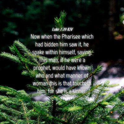 Picture 04 - Luke 7:39 KJV - Now when the Pharisee which had bidden him saw - Bible Verse Picture