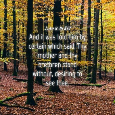 Picture 04 - Luke 8:20 KJV - And it was told him by certain which said, Thy - Bible Verse Picture