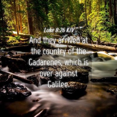 Picture 04 - Luke 8:26 KJV - And they arrived at the country of the Gadarenes, - Bible Verse Picture