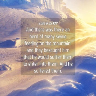 Picture 04 - Luke 8:32 KJV - And there was there an herd of many swine feeding - Bible Verse Picture