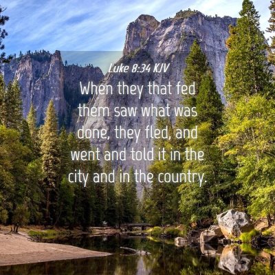 Picture 04 - Luke 8:34 KJV - When they that fed them saw what was done, they - Bible Verse Picture