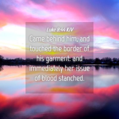 Picture 04 - Luke 8:44 KJV - Came behind him, and touched the border of his - Bible Verse Picture