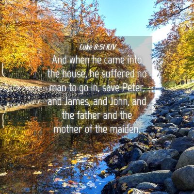 Picture 04 - Luke 8:51 KJV - And when he came into the house, he suffered no - Bible Verse Picture