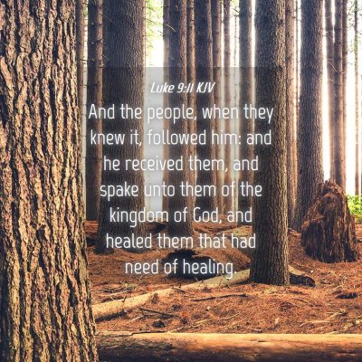 Picture 04 - Luke 9:11 KJV - And the people, when they knew it, followed him: - Bible Verse Picture