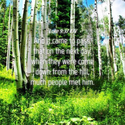 Picture 04 - Luke 9:37 KJV - And it came to pass, that on the next day, when - Bible Verse Picture
