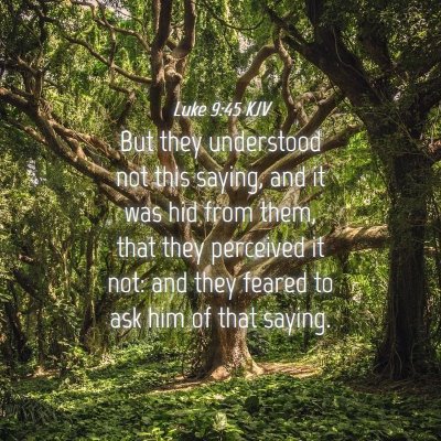 Picture 04 - Luke 9:45 KJV - But they understood not this saying, and it was - Bible Verse Picture