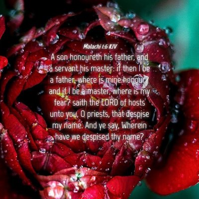 Picture 04 - Malachi 1:6 KJV - A son honoureth his father, and a servant his - Bible Verse Picture