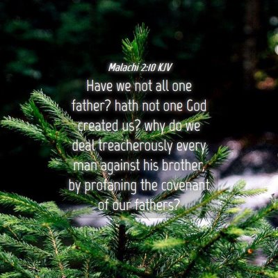 Picture 04 - Malachi 2:10 KJV - Have we not all one father? hath not one God - Bible Verse Picture