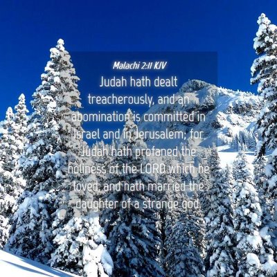 Picture 04 - Malachi 2:11 KJV - Judah hath dealt treacherously, and an - Bible Verse Picture