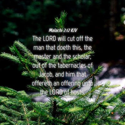 Picture 04 - Malachi 2:12 KJV - The LORD will cut off the man that doeth this, - Bible Verse Picture