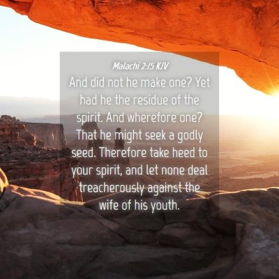 Picture 04 - Malachi 2:15 KJV - And did not he make one? Yet had he the residue - Bible Verse Picture
