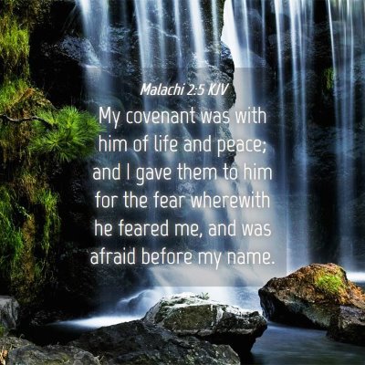 Picture 04 - Malachi 2:5 KJV - My covenant was with him of life and peace; and I - Bible Verse Picture