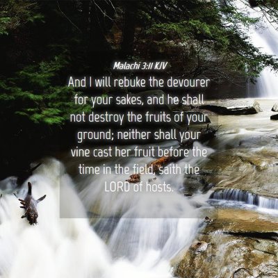 Picture 04 - Malachi 3:11 KJV - And I will rebuke the devourer for your sakes, - Bible Verse Picture