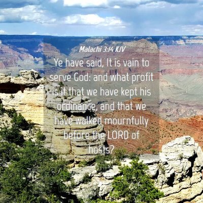 Picture 04 - Malachi 3:14 KJV - Ye have said, It is vain to serve God: and what - Bible Verse Picture
