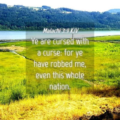 Picture 04 - Malachi 3:9 KJV - Ye are cursed with a curse: for ye have robbed - Bible Verse Picture
