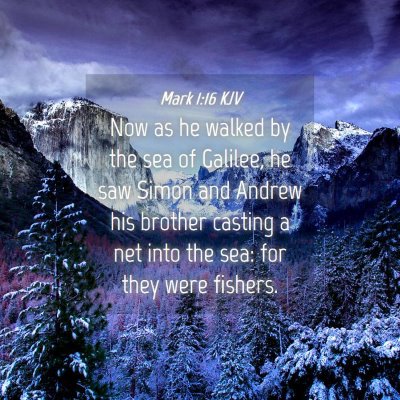 Picture 04 - Mark 1:16 KJV - Now as he walked by the sea of Galilee, he saw - Bible Verse Picture